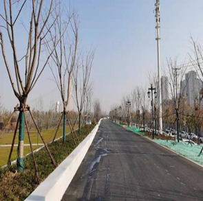 武漢漢陽(yáng)江灘防水墻和道路工程